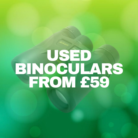 Image 03_12 (19).png